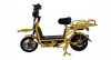 Anuraj E Bike 4000 Goods