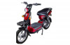 Anuraj E Bike 5000 Goods