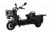 Anuraj E Bike 8000 Goods